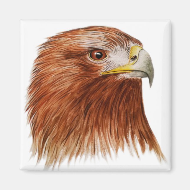 Aimant Aigle d'or 2011 (Devant)