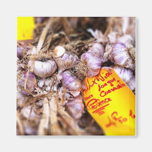 Aimant Ail pourpre frais de Provence (Devant)