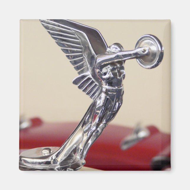 Aimant Aile (Devant)