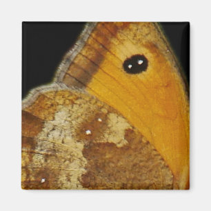 Aimant Aile de Papillon