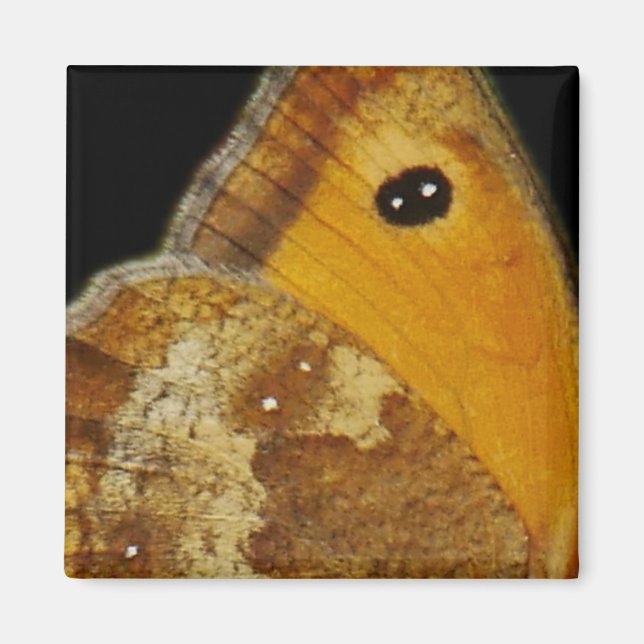 Aimant Aile de Papillon (Devant)
