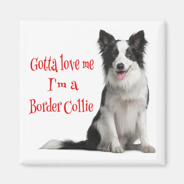 Aimant Aimer Bordure noire et blanche Collie Chiot Rouge  (Devant)