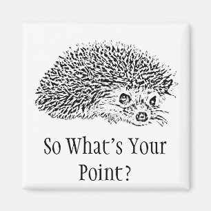Aimant Ainsi quel est votre point ?