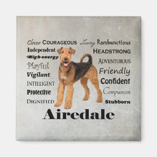 Aimant Airedale