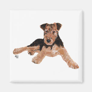 Aimant Airedale, Lakeland, chiot Welsh Terrier