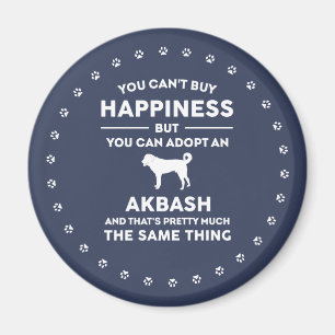 Aimant Akbash chien race adoption bonheur