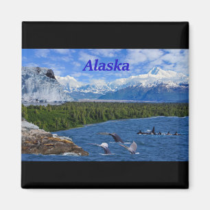Aimant Alaska