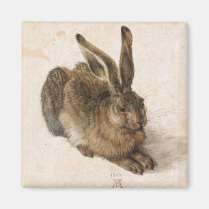 Aimant Albrecht Dürer - Junger Hase (jeune lièvre), 150