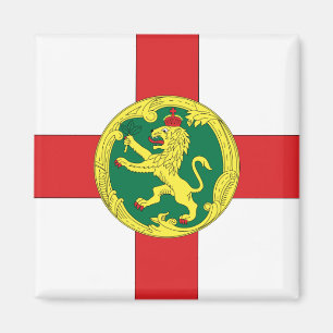 Aimant Alderney