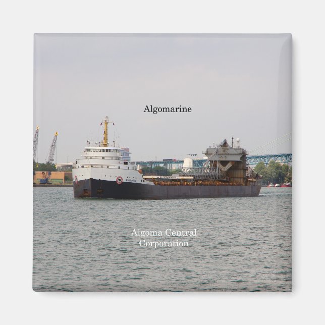 Aimant algomarine (Devant)