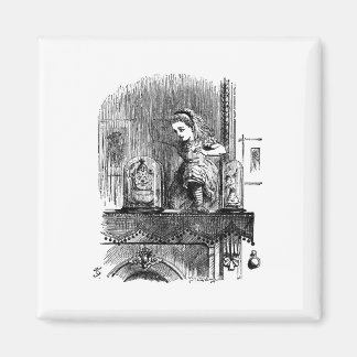 Aimant Alice au pays des merveilles à travers le miroir