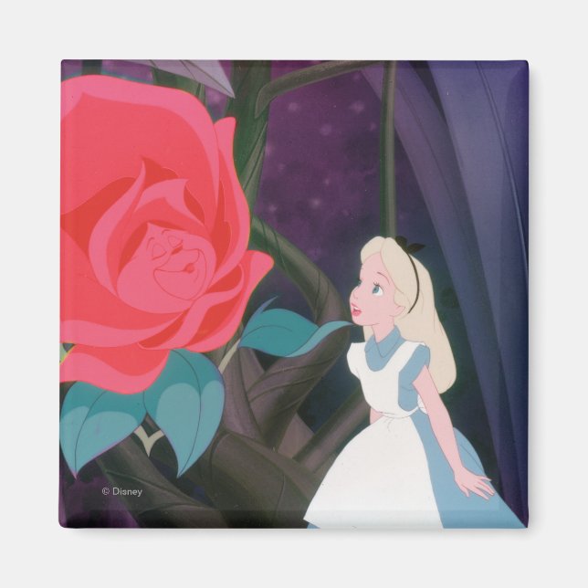 Aimant Alice au pays des merveilles Film de fleurs de jar (Devant)