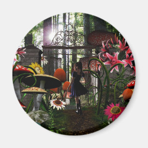 Aimant Alice dans l'aimant merveilleux