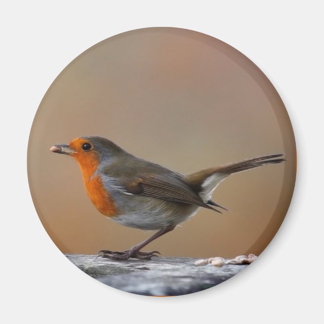 Aimant Alimentation de l'aimant Robin (Devant)