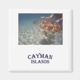 Aimant Alimentation d'une tortue