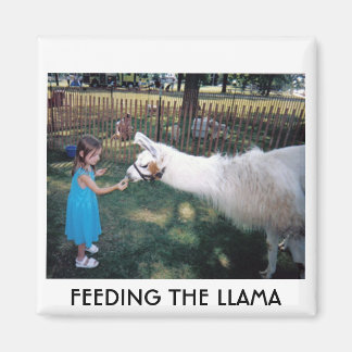 AIMANT ALIMENTER LA LAMA