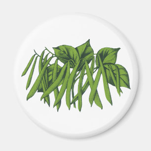 Aimant Aliments Rétro, Haricots Verts Biologiques Légumes