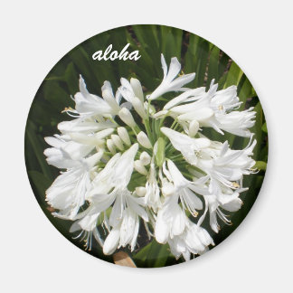 Aimant aloha fleurs blanches