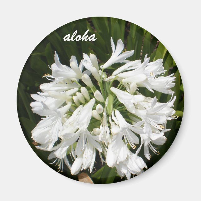 Aimant aloha fleurs blanches (Devant)
