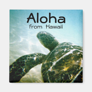 Aimant Aloha Hawaii