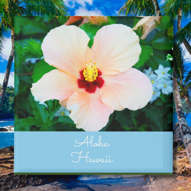 Aimant Aloha Hawaii Pêche Couleur État Fleur Hibiscus (Créateur téléchargé)