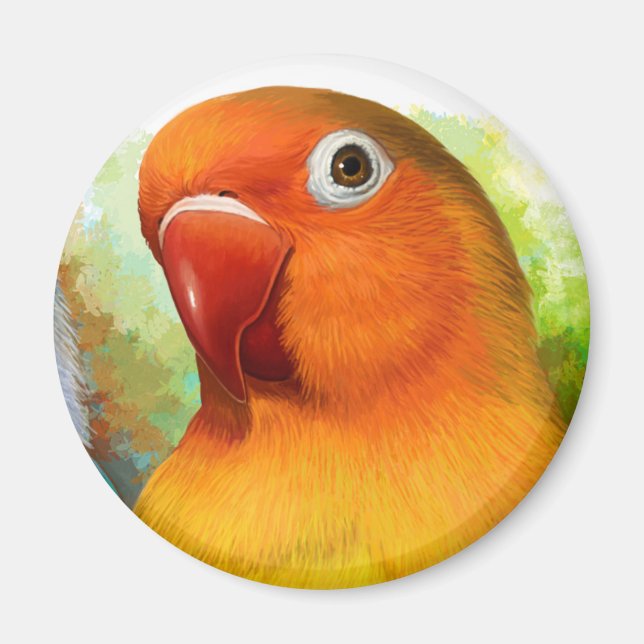 Aimant Alovebird de Fischer (Devant)