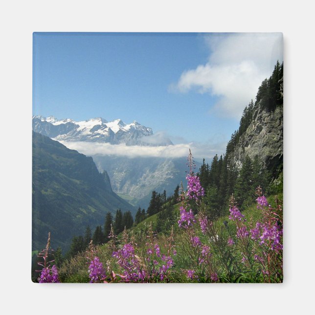 Aimant Alpes, Suisse (Devant)