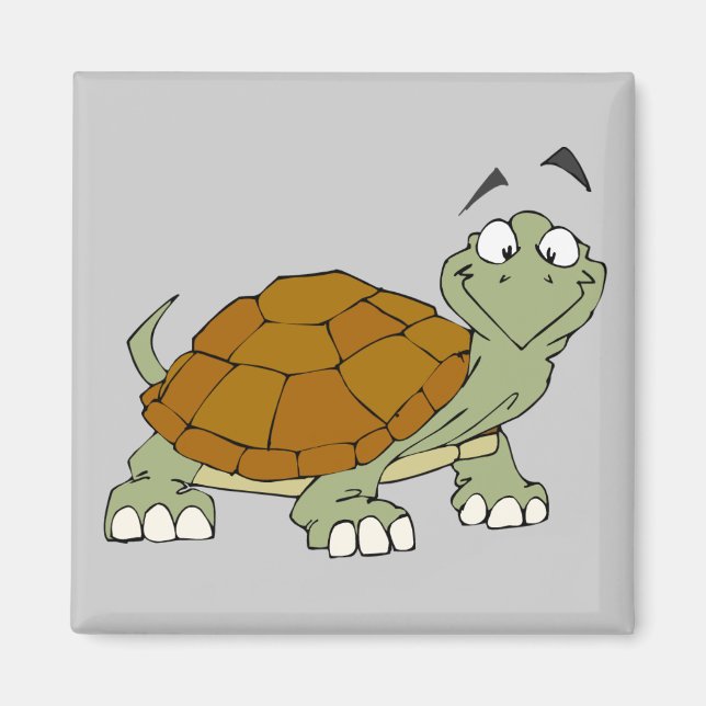Aimant Amande de tortue (Devant)