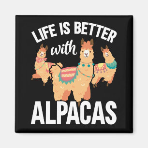 Aimant Amant amusant Alpaca