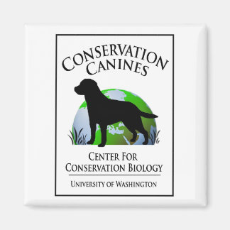 Aimant Amante à canine de conservation