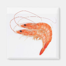 Amateurs de crevettes
