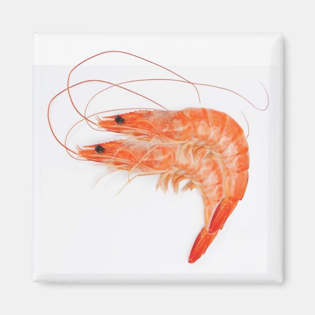 Aimant Amateurs de crevettes (Devant)