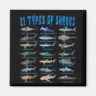Aimant Amateurs De Requins 21 Types De Requins Animaux Oc