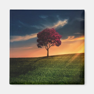 Aimant Amazing landscape with a Red Tree at Sunset