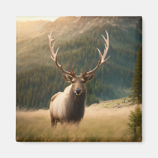 Aimant American Elk's Wildlife : Moose, Deer, Bull Cervus (Devant)