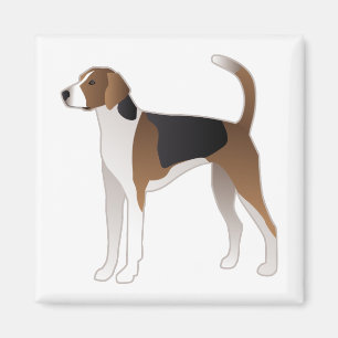 Aimant American Foxhound - Illustration de la race de chi