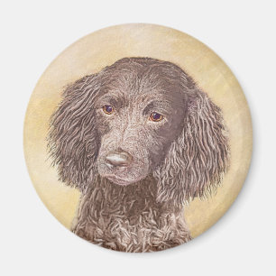 Aimant American Water Spaniel Peinture - Original Dog Art