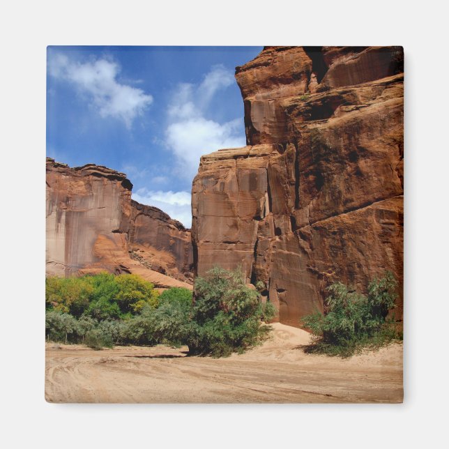 Aimant Amérique du Nord, États-Unis, Arizona, Navajo Indi (Devant)