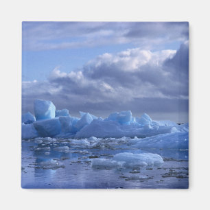 Aimant Amérique du Sud, Chili, San Rafael Lagoon NP.