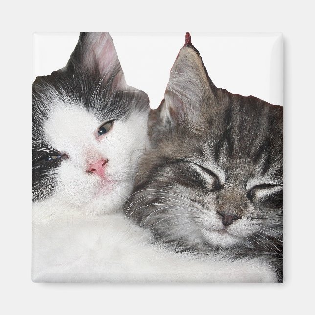 Aimant Amis (Devant)