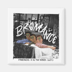 Aimant AMIS™   Ross, Joey et Chandler Bromance