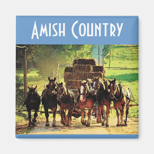 Aimant amish de pays