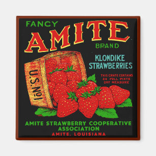 Aimant Amite Klondike Fraises