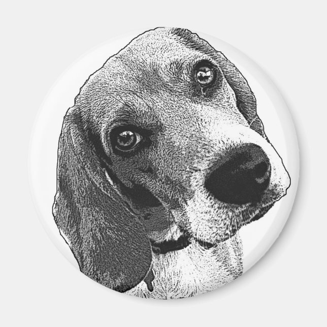 Aimant Amour beagle (Devant)