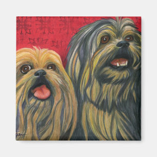 Aimant Amour de Lotsa Lhasa