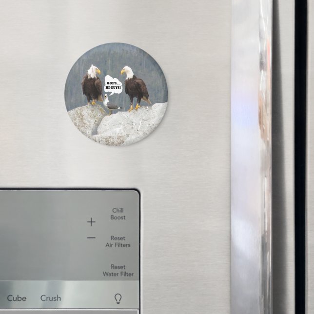 Aimant Amusant Aigles et Mouette (In situ (réfrigérateur))