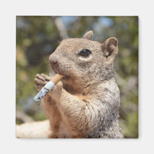 Aimant Amusant Puffy bizarre fumeur de cigare d'écureuil