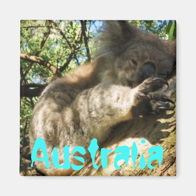 Aimant Amusante Australie koala design d'aimant (Devant)