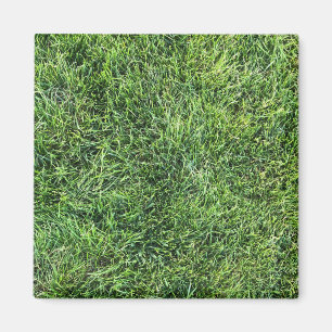 Aimant Amusante herbe verte vraie texture photo motif pla