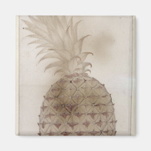 Aimant Ananas,